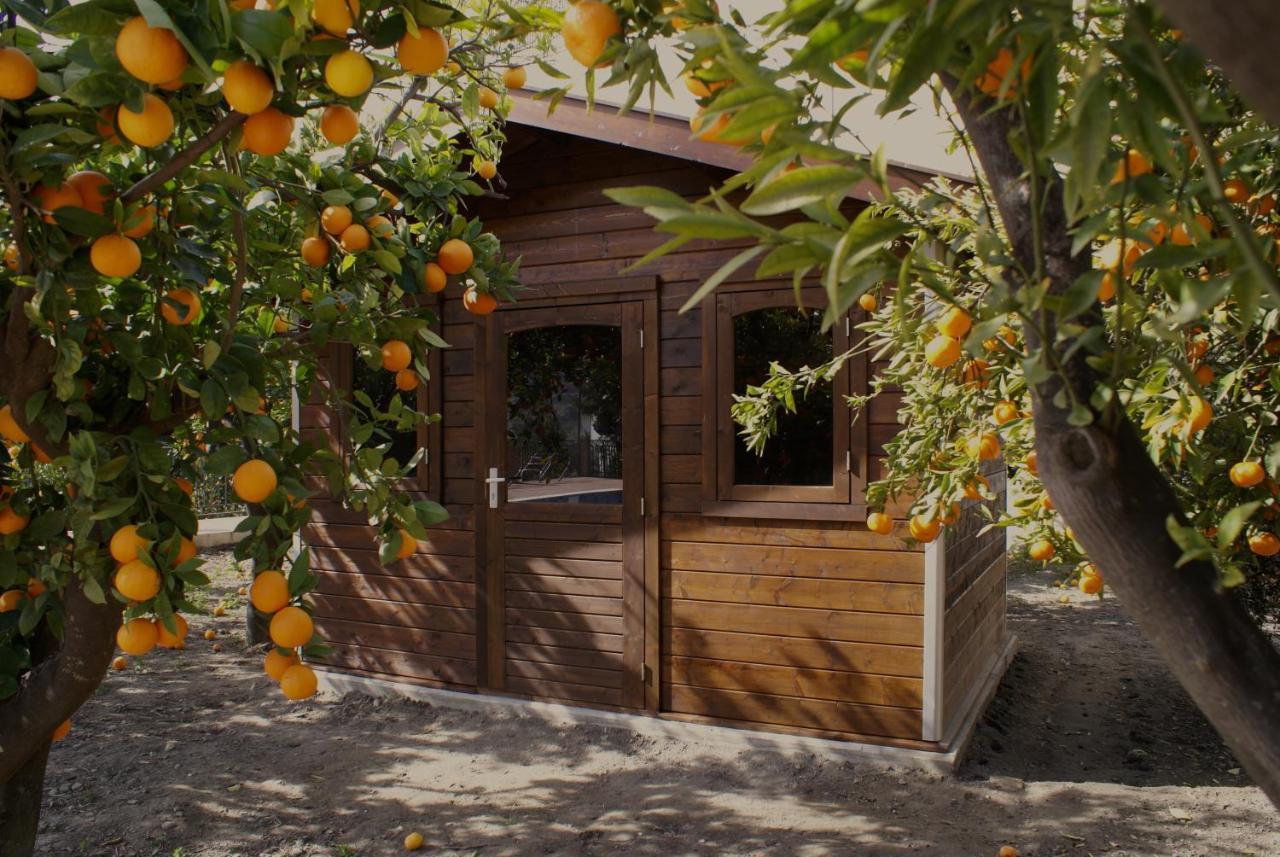 La Canota King Rooms Adults Only Talara ภายนอก รูปภาพ