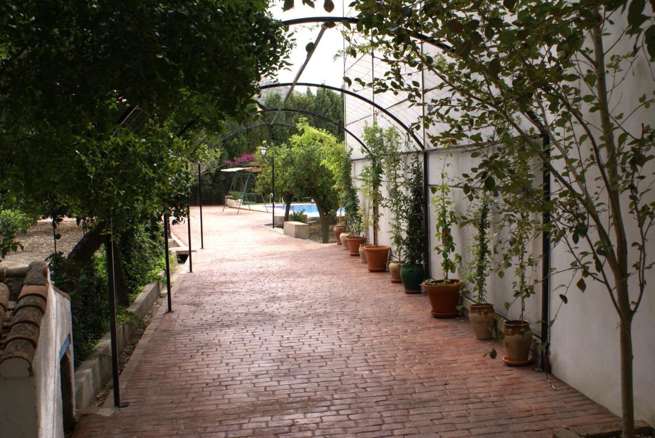 La Canota King Rooms Adults Only Talara ภายนอก รูปภาพ
